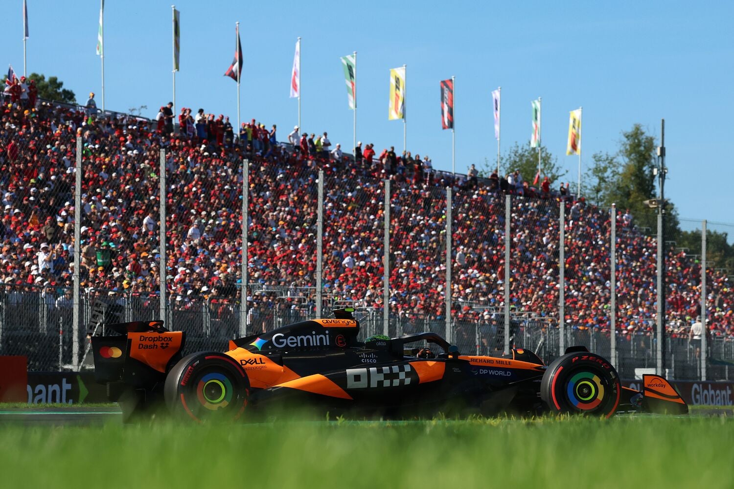 Image of the McLaren car