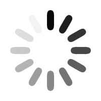 Carousel Spinner carousel spinner