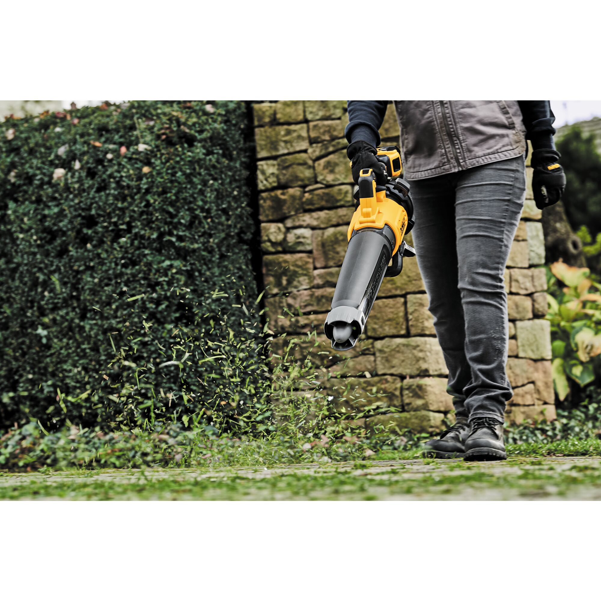 Dewalt xr blower online tool only