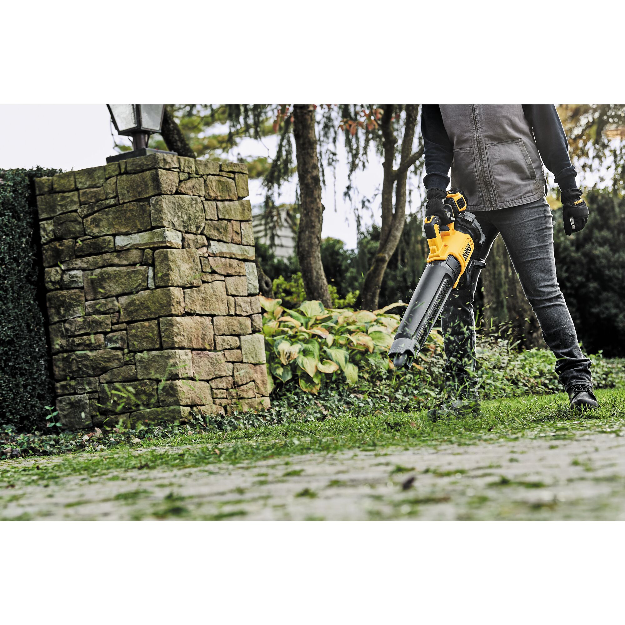 Dewalt cordless leaf blower 20 online volt