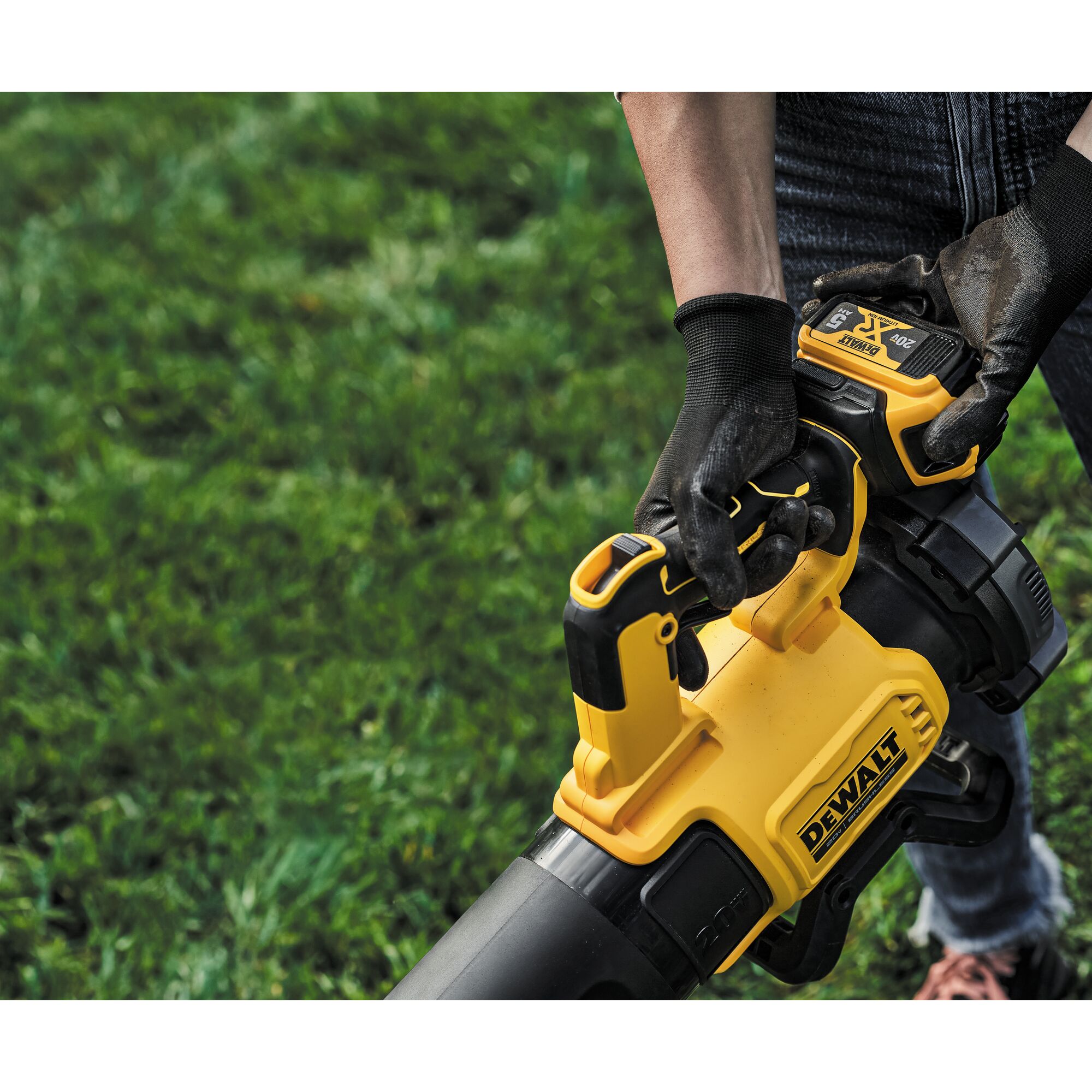 Dewalt battery shop powered blower