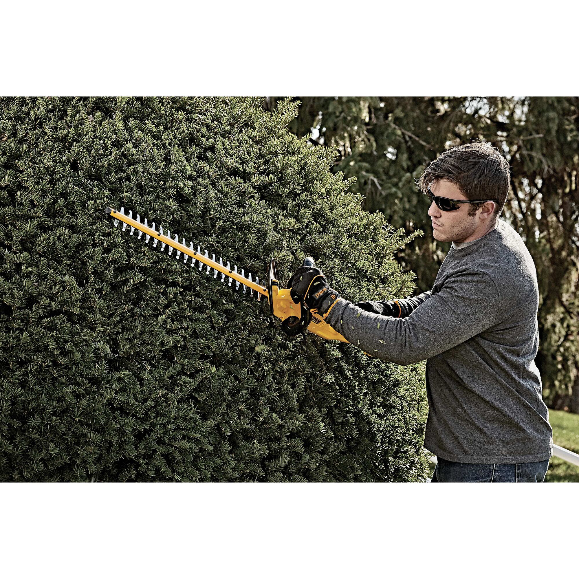 Dewalt 20v 2025 hedge trimmer dcht820b