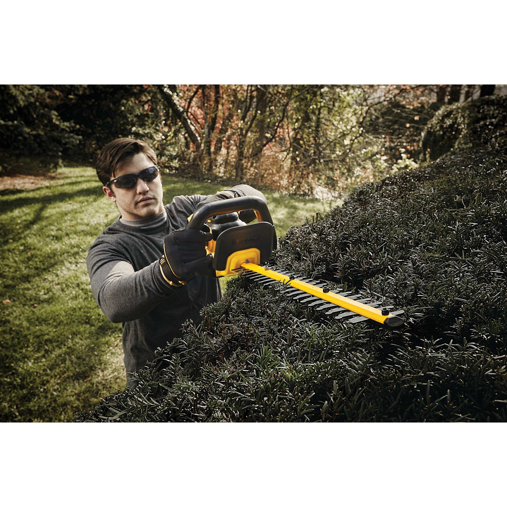 Dewalt dcht820b 20v 2025 max hedge trimmer stores