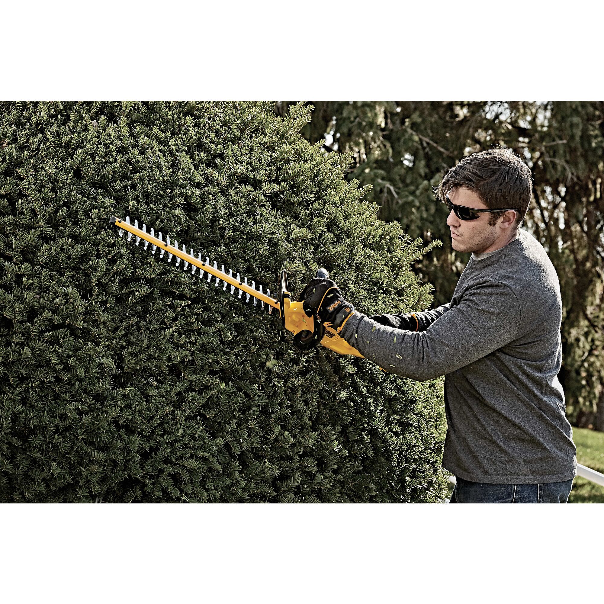 Dewalt 20v hedge trimmer store with battery