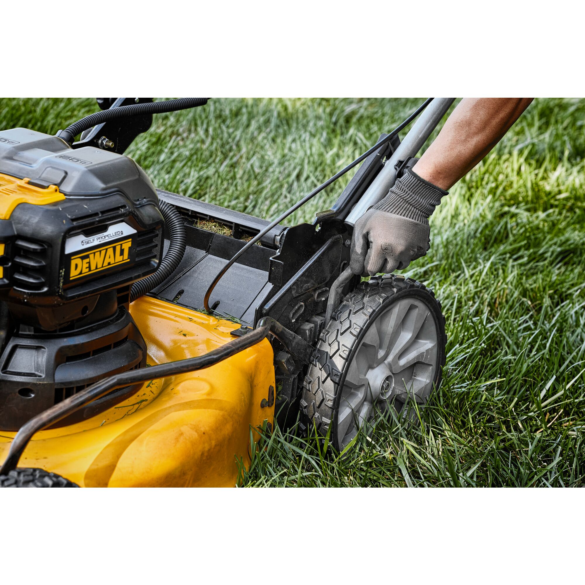 Dewalt lawn best sale mower self propelled