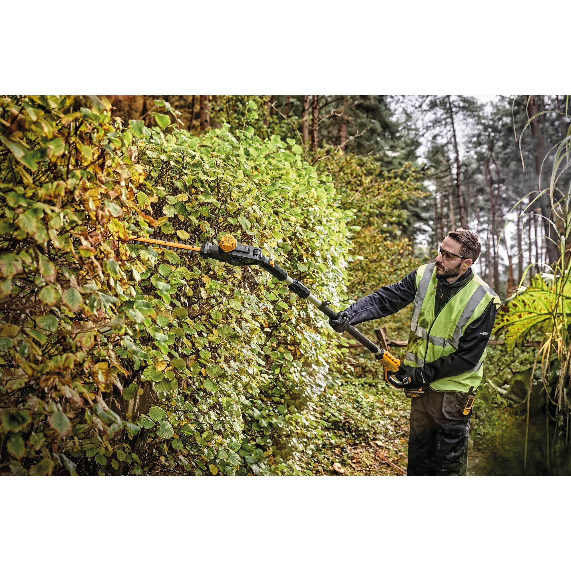 Dewalt hedge trimmer and blower online combo