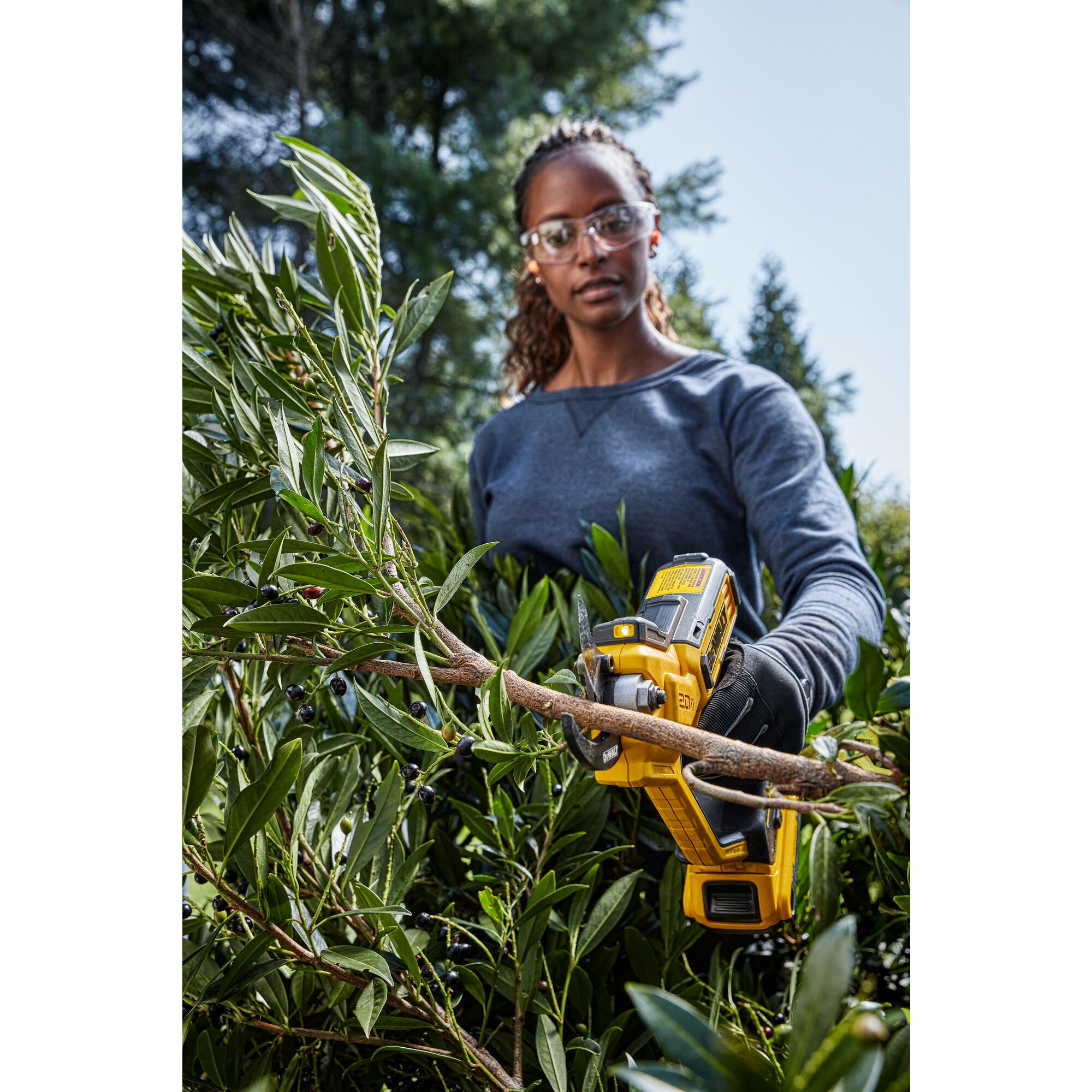 Dewalt 20v tree discount trimmer