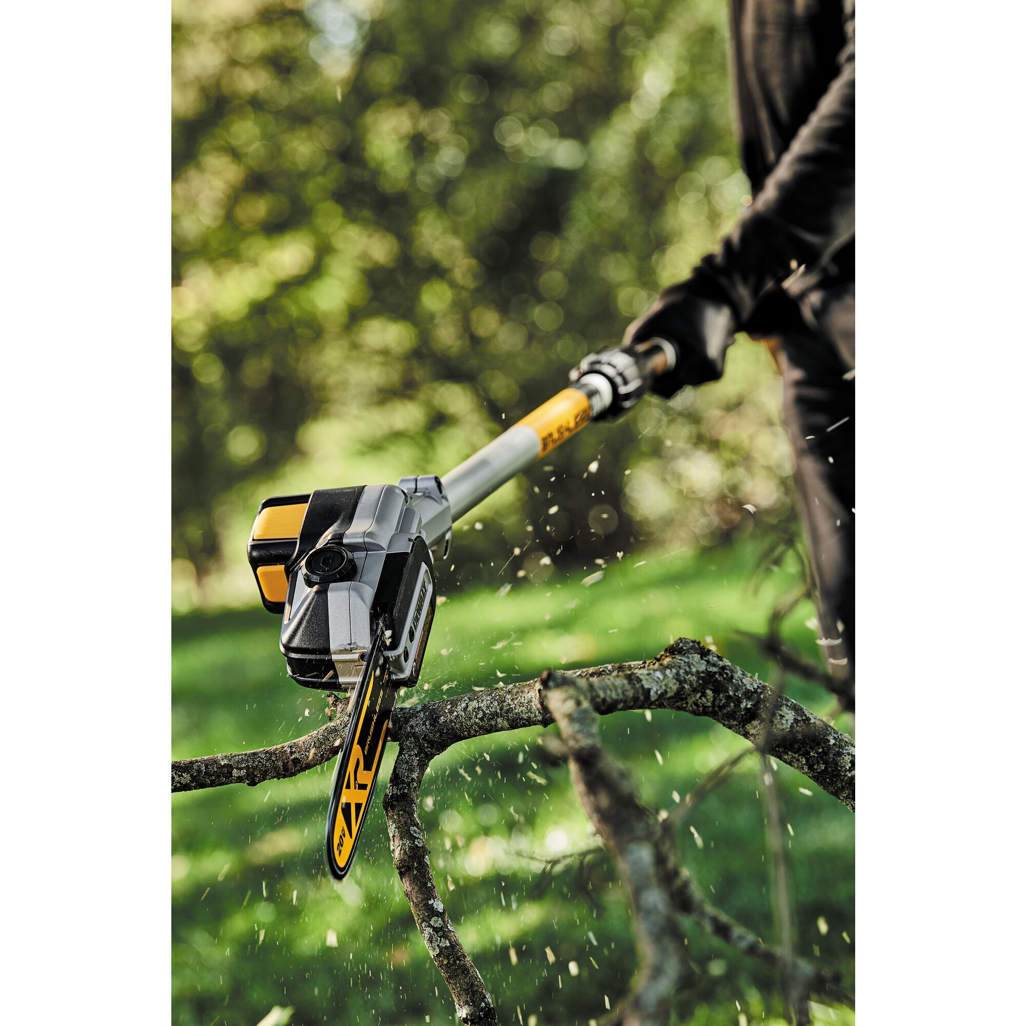 Dewalt 20v 2025 pole chainsaw