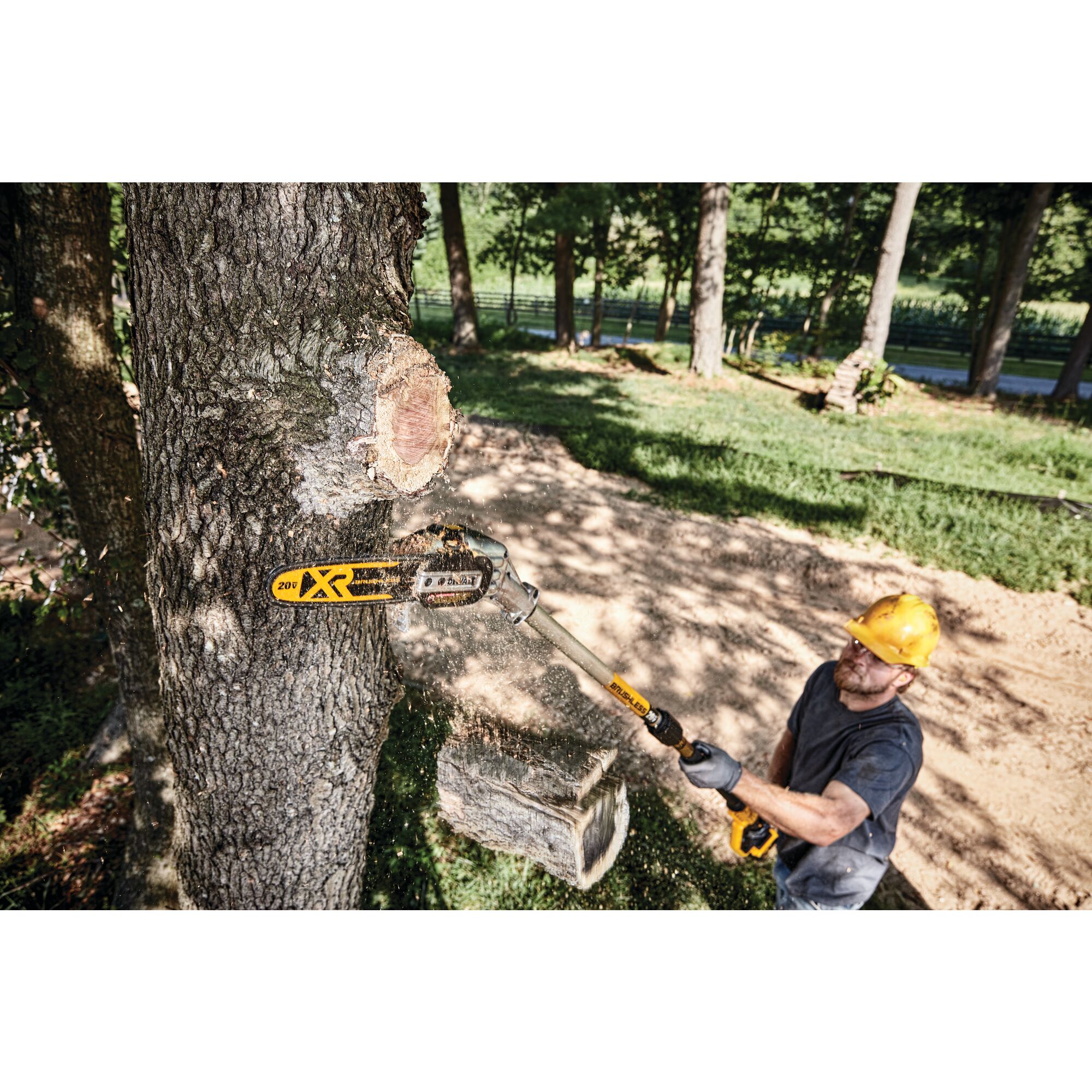 Pole saw online dewalt