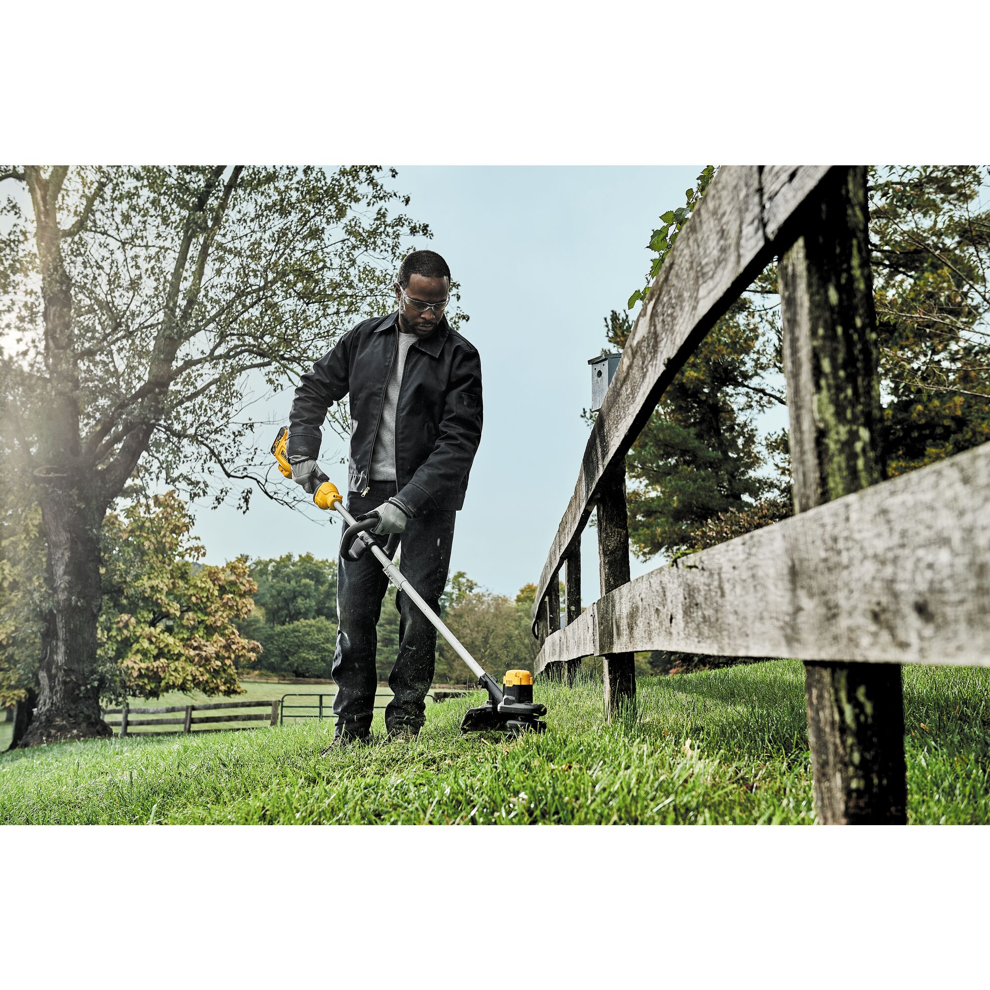 Dewalt cordless discount weed eater 20v