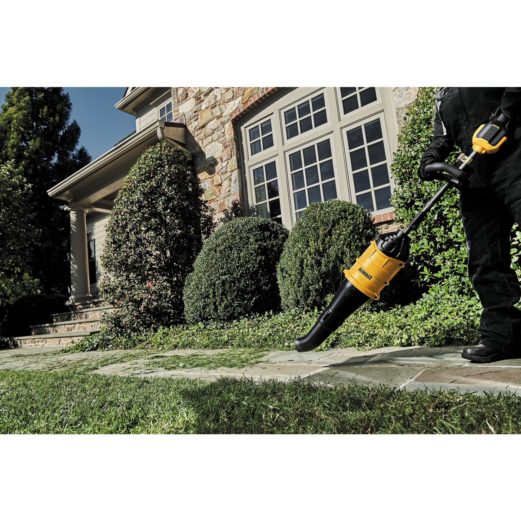 60v dewalt string online trimmer