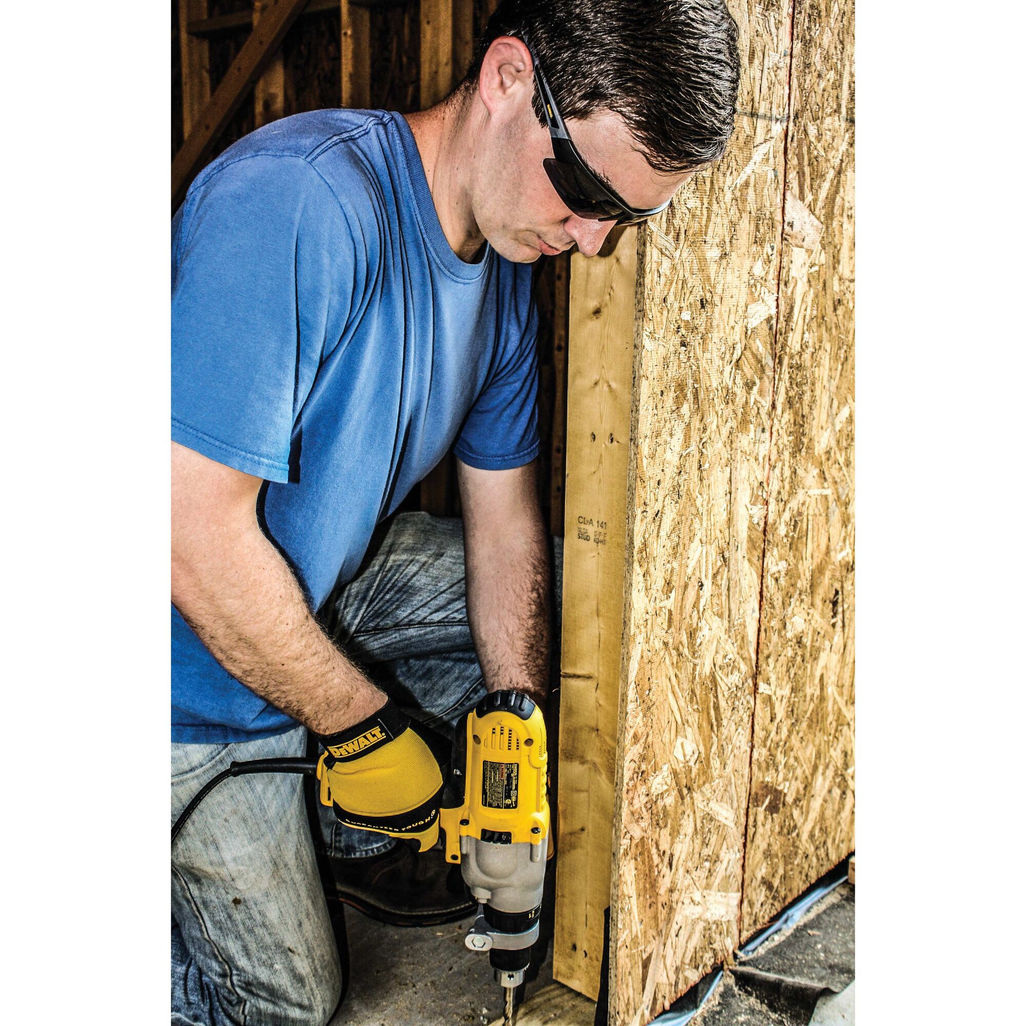 dewalt dpg100