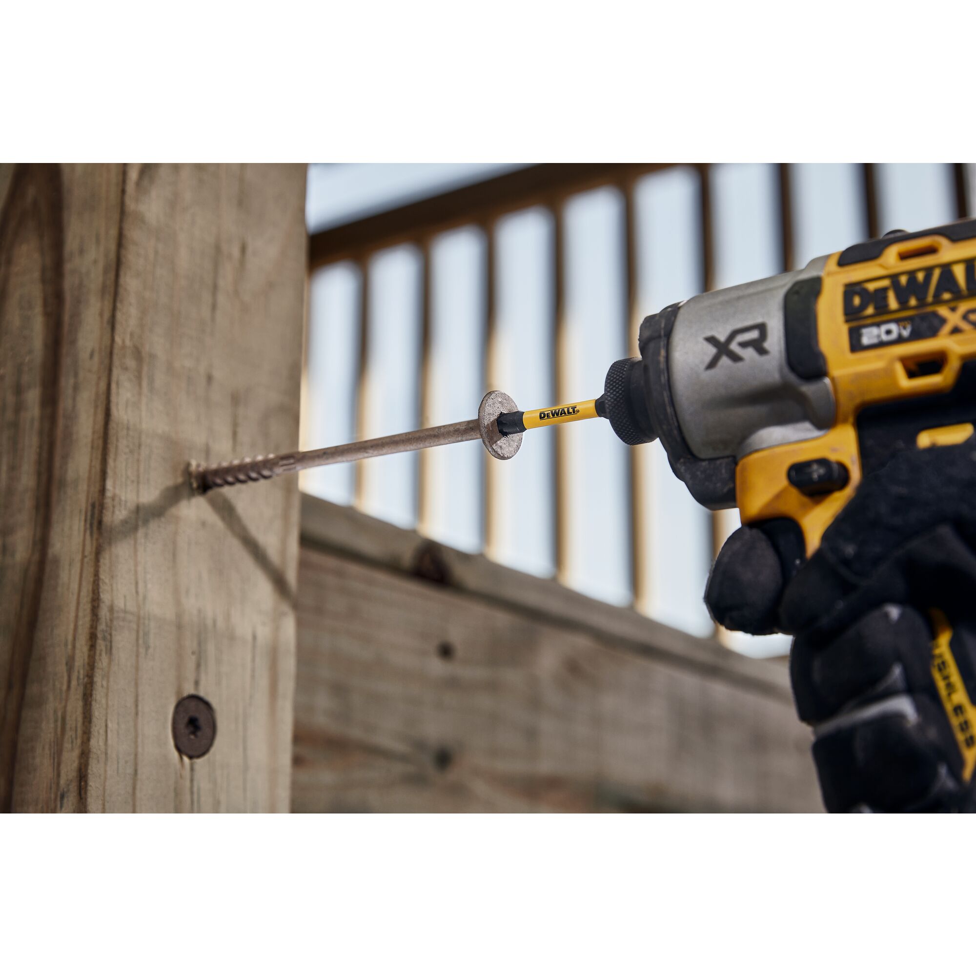 Dewalt best sale t30 bits