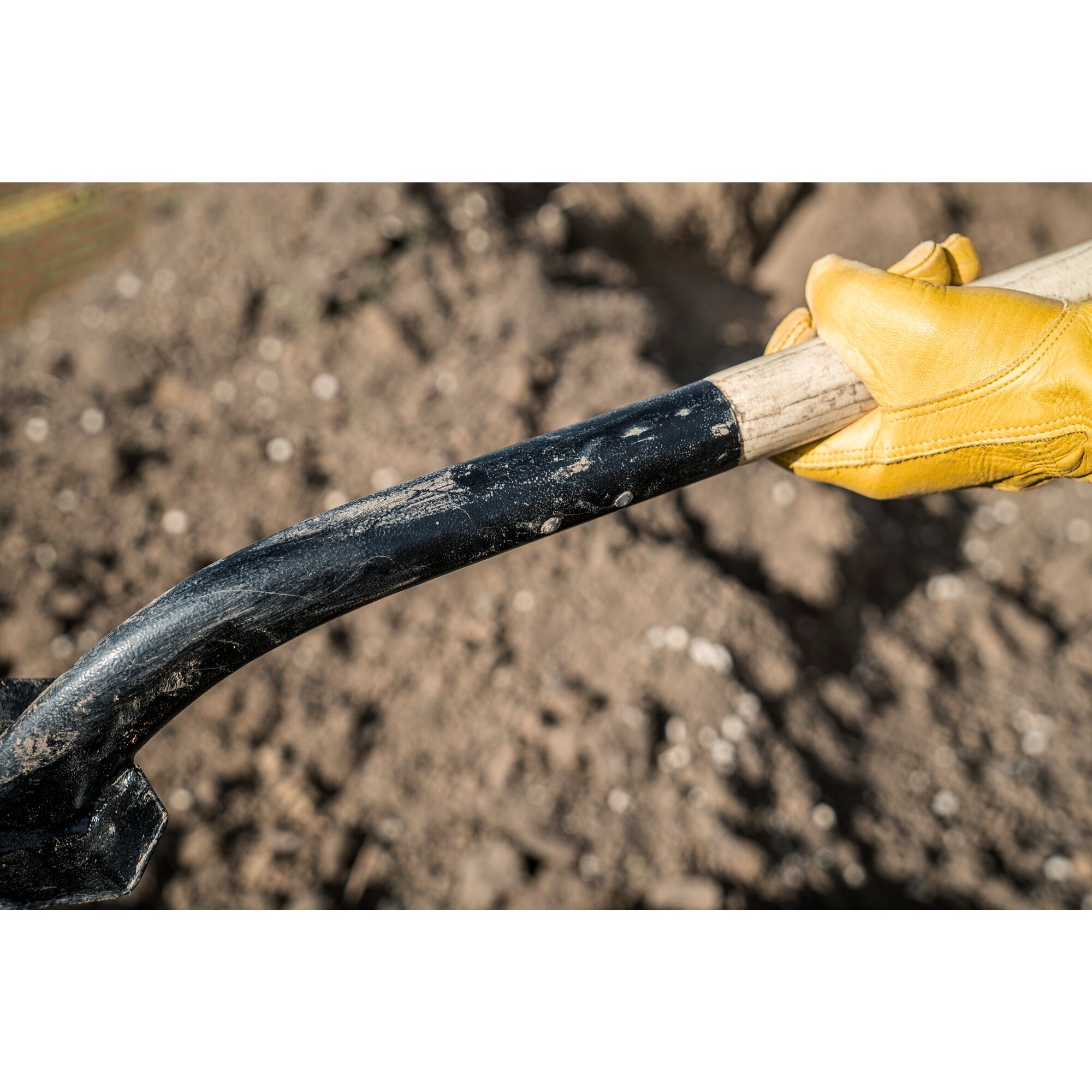 46 in Wood Handle Trenching Shovel DEWALT